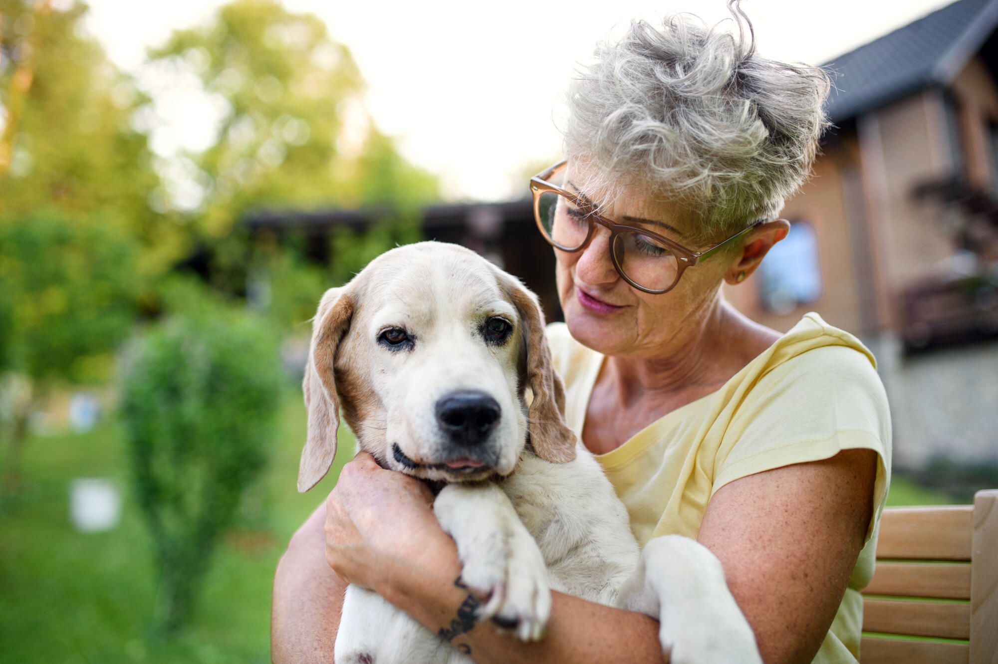Pet Friendly Senior Living in Denton: Why It Matters